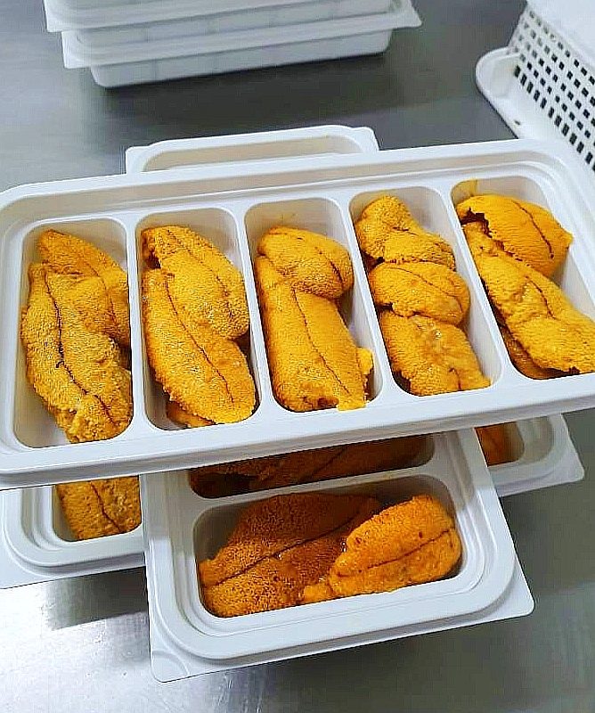 Huevas de Erizo Congelado