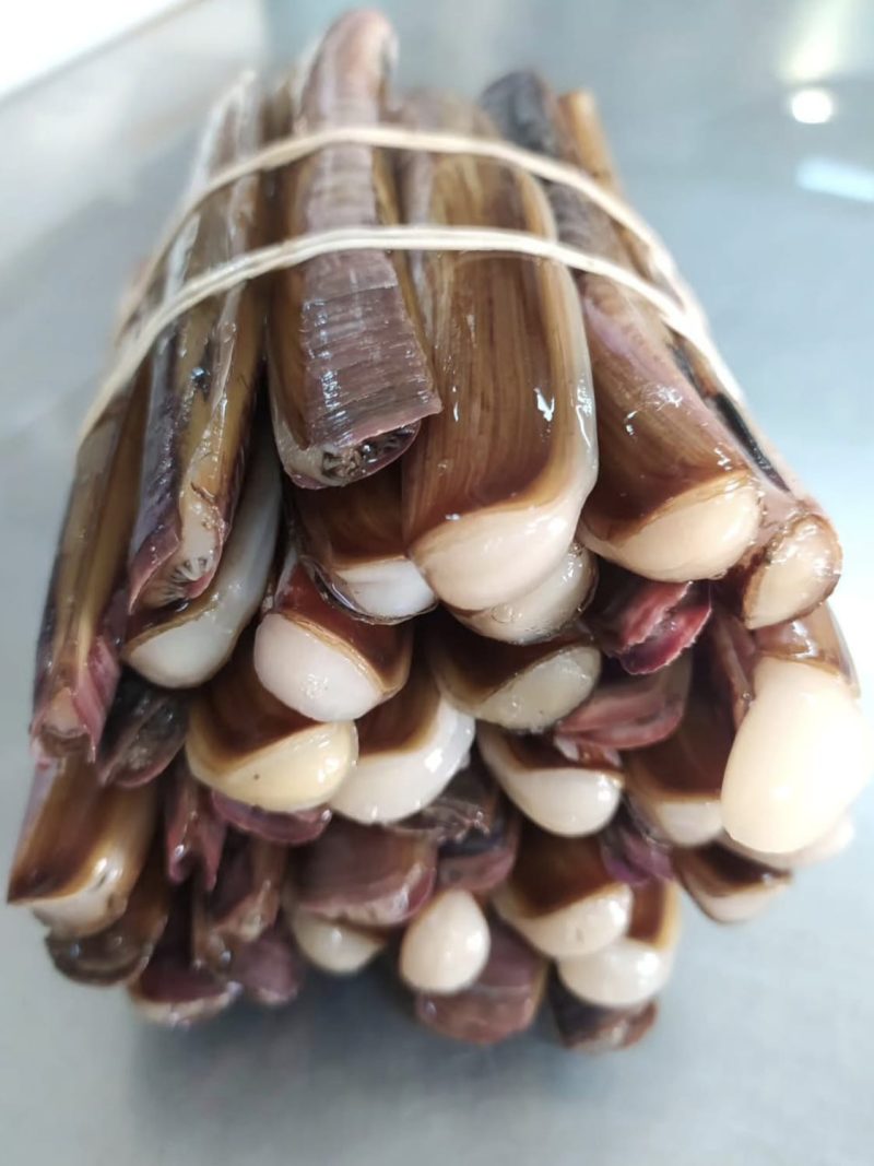 Navajas Gallegas frescas | La Abuela del Mar